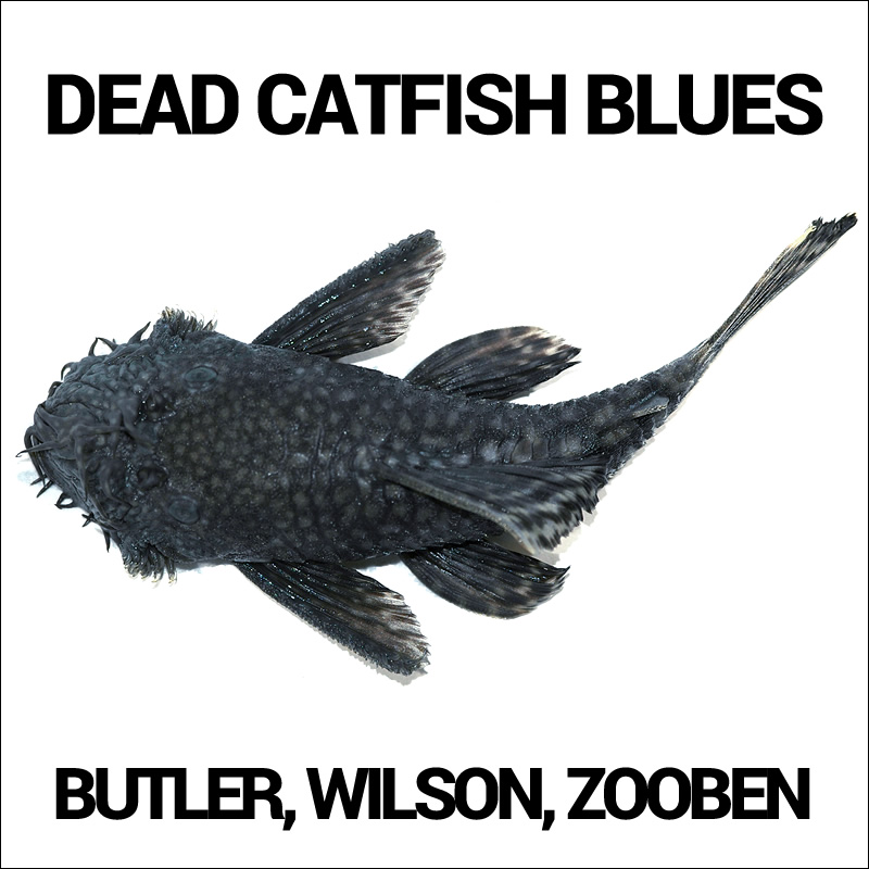 Dead Catfish Blues
